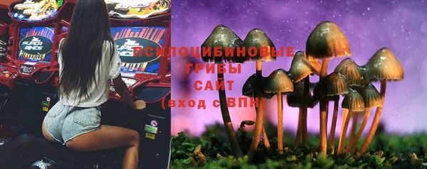 гашиш Елизово