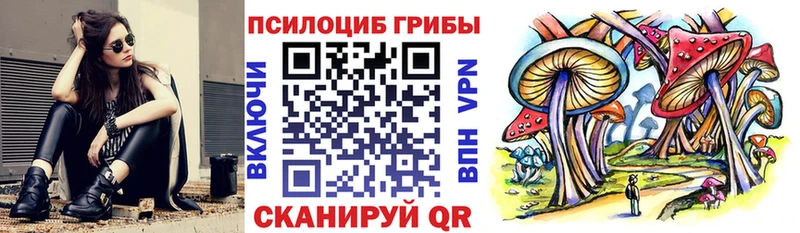 Купить  Юрюзань  Псилоцибиновые грибы мицелий 